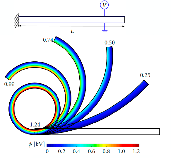 Theoretical framework of flexoelectricity